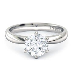 Verita Round Brilliant Engagement Ring in Platinum 950