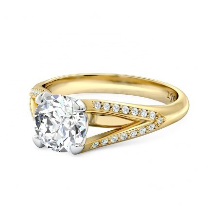 Maia Round Brilliant Diamond Ring in 18kt Yellow Gold AU - Side View